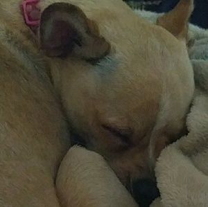 Meet your Posher, Ava